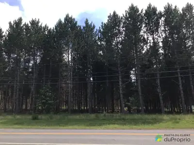 Grand terrain de plus de 35 000 pieds carrés situé en ville. Près de tous les services (incluant la...