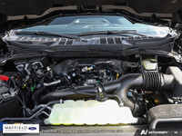 Engine: 2.7L TURBO 6cyl. L/100Km City: 13.2 L/100Km Hwy: 10.2 Safety Equipment ABS And Driveline Tra... (image 5)