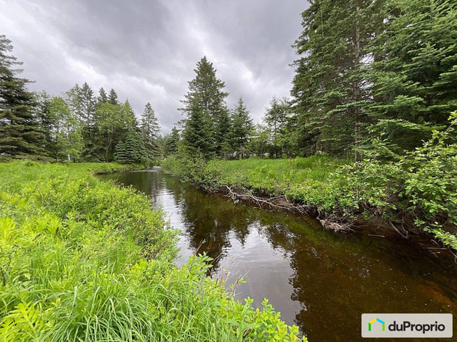 520 000$ - Maison de campagne à vendre à Val-David dans Maisons à vendre  à Laurentides - Image 2