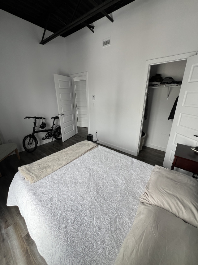 BEAU CONDO - 1 chambre - Boul. Maisonneuve in Long Term Rentals in Gatineau - Image 2