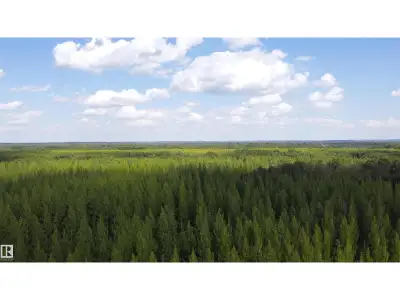 Over 7 Acres of Opportunity Create The Lifestyle You've Always Wanted! Escape and embrace the freedo...
