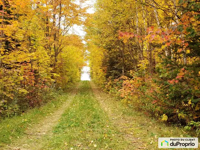 $180,000 - Price taxes not included - Wood Lot - Beaulac Garthby in Land for Sale in Thetford Mines - Image 3