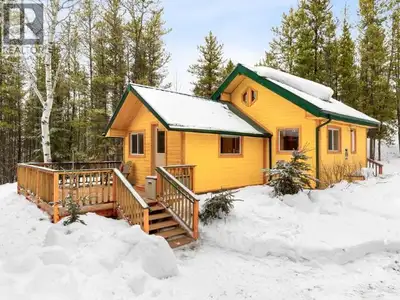 Commercial Business Opportunity with CMTx2 Commerical mixed use tourism zoning. Rustic Yukon Cabin M...