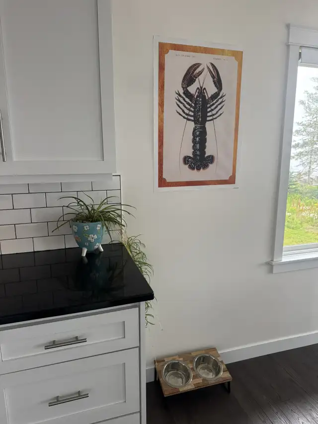 285 Anthony’s Cove Rd in Long Term Rentals in Saint John - Image 5