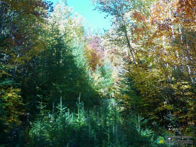 $149,000 - Residential Lot for sale in Ste-Adele — photo 2