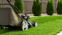 2024 Season Lawn Maintenance 416-710-8048