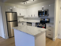 Fully Renovated 2 Bedroom Apartment! FIRST MONTHS RENT FREE!