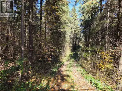 Welcome to your private getaway - a stunning 6-acre parcel ideally located just minutes from Mansfie...