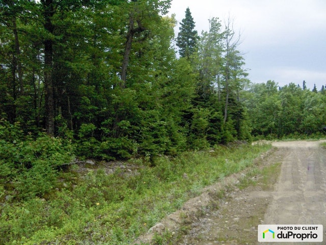 $85,000 - Residential Lot for sale in Petite-Riviere-St-Francois — photo 1