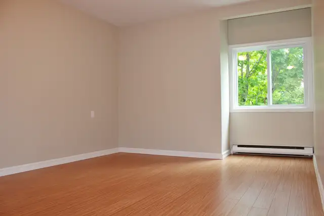 Kenny's Park - 1 Bedroom 1 Bath Apartment for Rent in Long Term Rentals in St. John's - Image 7