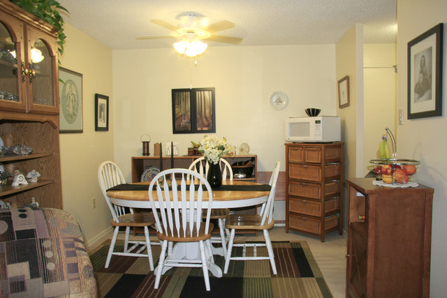 MUST SEE 2 bedroom apartment for rent in Owen Sound! in Long Term Rentals in Owen Sound - Image 3