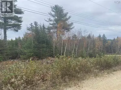 Phase 2 of Langille Estates, an established upscale community, this approved building lot is over 2....