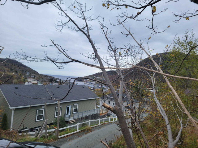 11-13 Kennedy Lane, St. John's - Building lot in Petty Harbour in Land for Sale in St. John's - Image 3