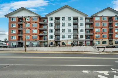 Oceanview apartments, a collection of Junior 1 bedroom, 1 bedroom and 2-bedroom homes for lease, cen...