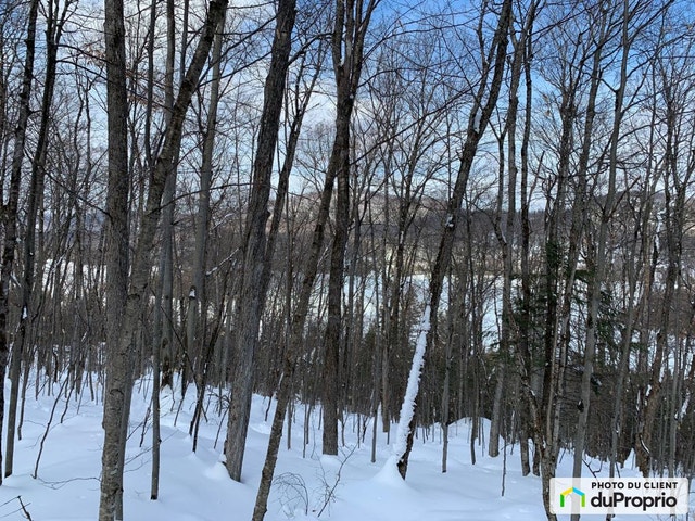 $99,000 - Residential Lot for sale in St-Adolphe-D'Howard — photo 1