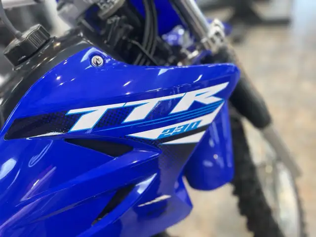2025 YAMAHA TT-R 230 in Dirt Bikes & Motocross in Saguenay - Image 9