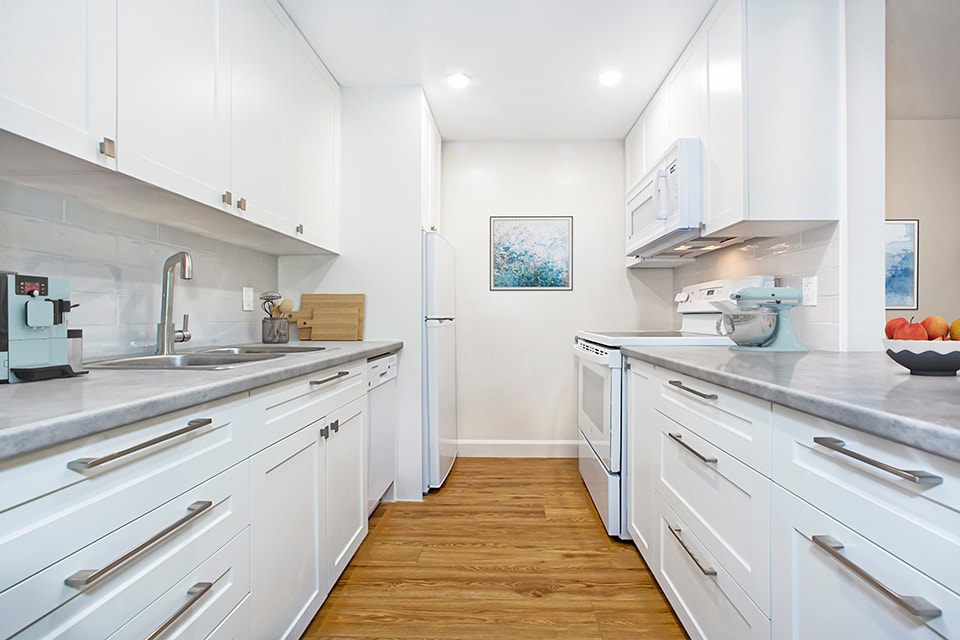 Stunning 1 bedroom apartment for rent in Old South! 2
