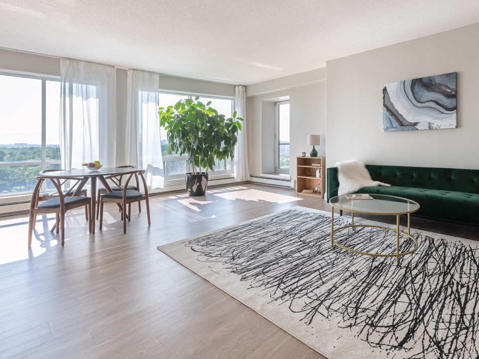 GORGEOUS BACHELOR APARTMENT NEAR PUBLIC GARDENS 2