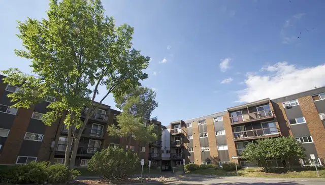 1 Bedroom in Ottawa East for November in Long Term Rentals in Ottawa - Image 3