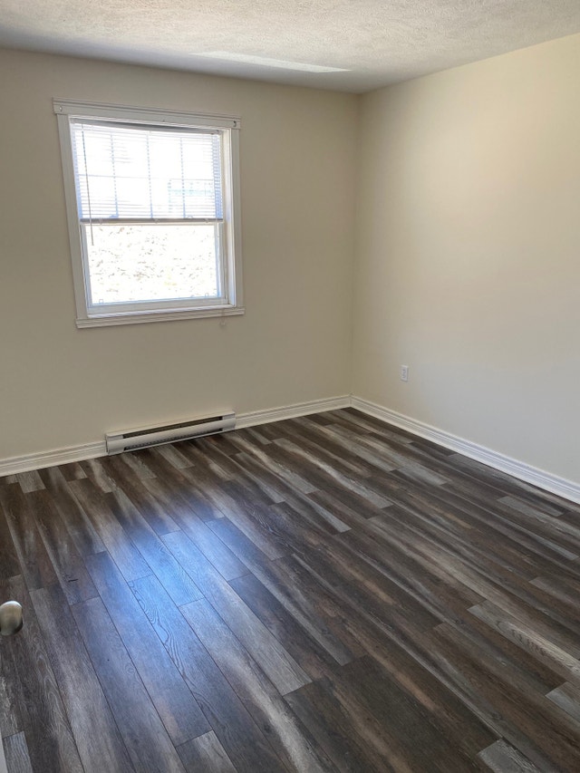 Four Bedroom Apartments Long Term Rentals Fredericton Kijiji