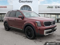 X-Line! Pristine condition! Imagine unforgettable family adventures and comfortable daily commutes i... (image 7)