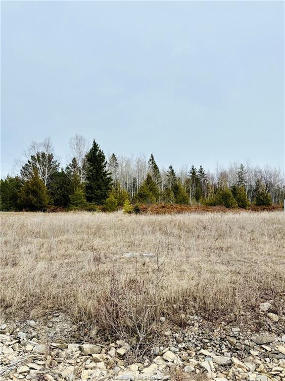 Land for Sale - Lot 27 Hayward Street in Land for Sale in Sudbury - Image 4