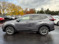 Recent Arrival! Certified. EX-L|AWD|Leather|Sunroof|CarPlay 2022 Honda CR-V EX-L EX-L|AWD|Leather|Su... (image 4)