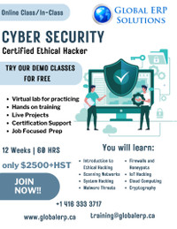 Cyber Security Training with Demo Class call 416 333 3717