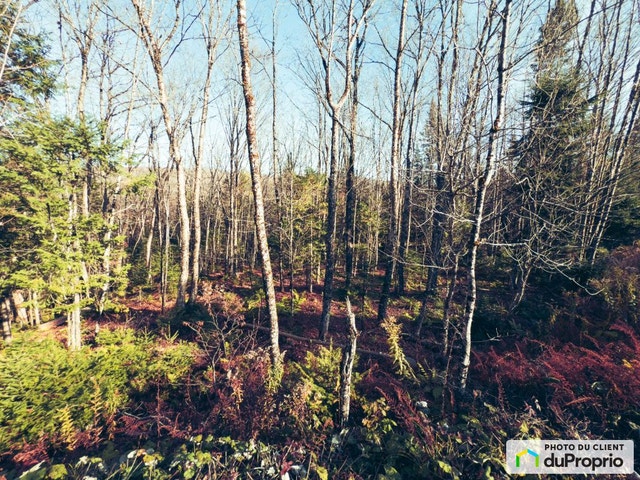$104,500 - Residential Lot for sale in St-Venant-De-Paquette — photo 3