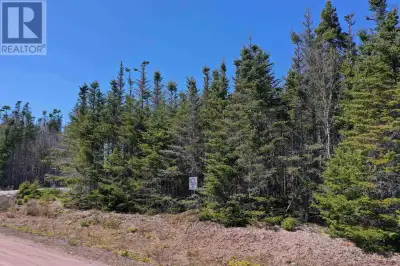 Discover your dream escape at Whale Cove, Cape Breton, where the peaceful river meets the Canso Stra...
