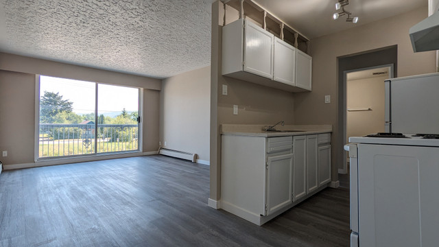 Connaught Hill Apartment For Rent | Queensway Place Apartments in Long Term Rentals in Prince George - Image 4