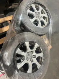 AUDI Q5 Tires with Rims