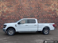 Check out this 2025 Ford F-150 XLT before it's too late! *Get Your Money's Worth for this Ford F-150... (image 1)