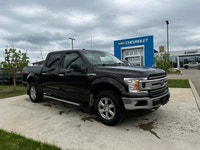 This Ford F-150 delivers a Regular Unleaded V8 5.0 L engine powering this Automatic transmission. EN... (image 5)