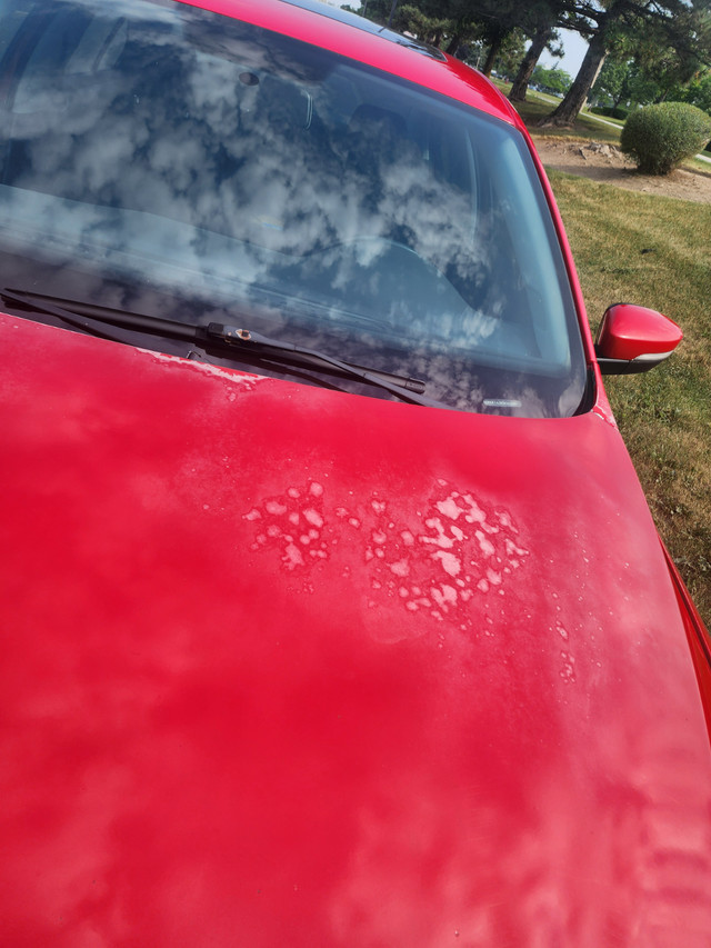 VW Jetta 2014 Rebuilt title $7,495.00 in Cars & Trucks in Mississauga / Peel Region - Image 2