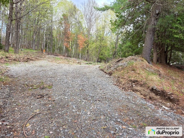 $275,000 - Residential Lot for sale in Mont-Tremblant — photo 3