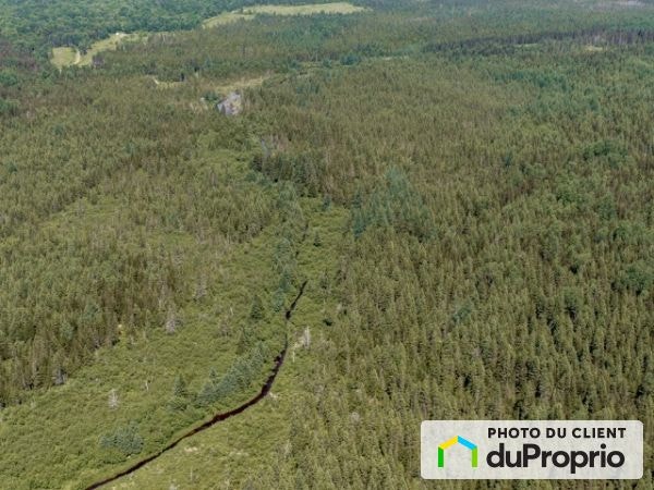 $98,500 - Wood Lot for sale in Ste-Perpetue-de-L'Islet — photo 3