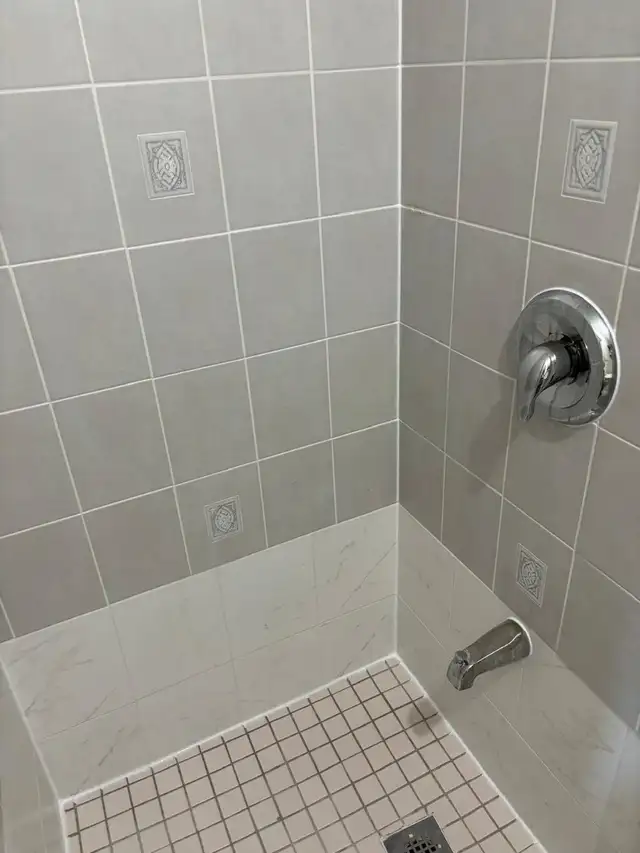 Shower cleaning, silicone replacement589175819831224321
