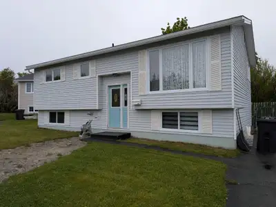 This recently renovated 4-bedroom, 2-bath home offers a perfect family setting in a Mount Pearl Loca...