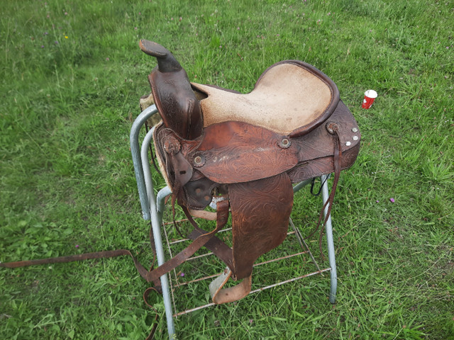5 Saddles in Equestrian & Livestock Accessories in Annapolis Valley