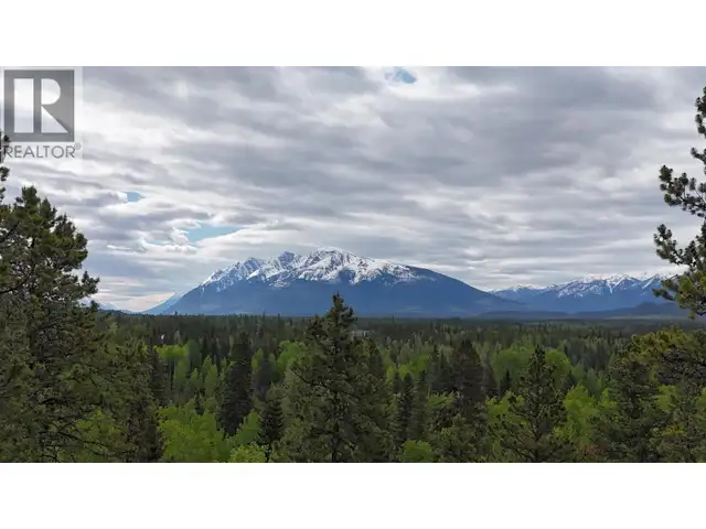 LOT A 3840 BRYAN ROAD Valemount, British Columbia in Land for Sale in Quesnel - Image 3