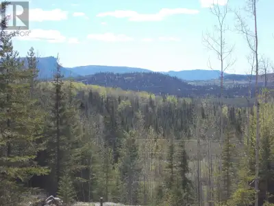 Here's an amazing 10+ acre property cleared, terraced with a drilled well, hydro at lot line and rea...