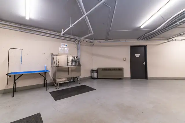 Eaglemont Manor - Fabulous 1 Bedroom Apartment Apartment for Ren in Long Term Rentals in Edmonton - Image 5