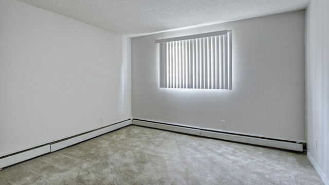 Spacious and bright 2 Bedroom! in Long Term Rentals in Edmonton - Image 4