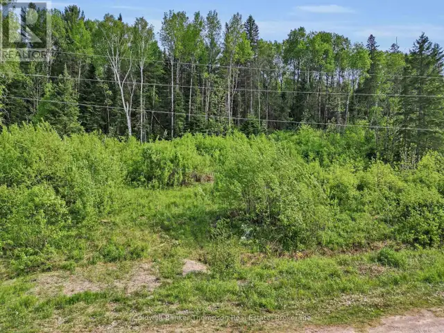 219 DOE LAKE ROAD Armour, Ontario in Land for Sale in Muskoka - Image 6