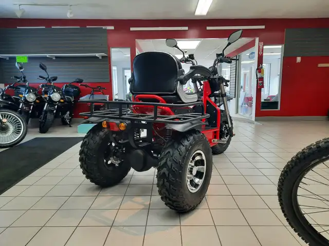 9999 Daymak Boomer Beast 2D in ATVs in Bridgewater - Image 5