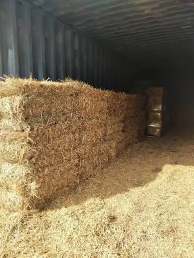 Straw bales, View more