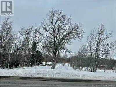 Discover this 102.4-acre lot to build your dream home, hobby farm or cottage that is less than 15 mi...