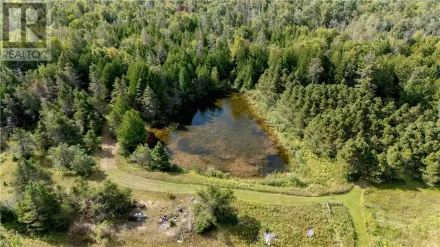 1703 Union Road Evansville, Ontario in Land for Sale in Sudbury - Image 41