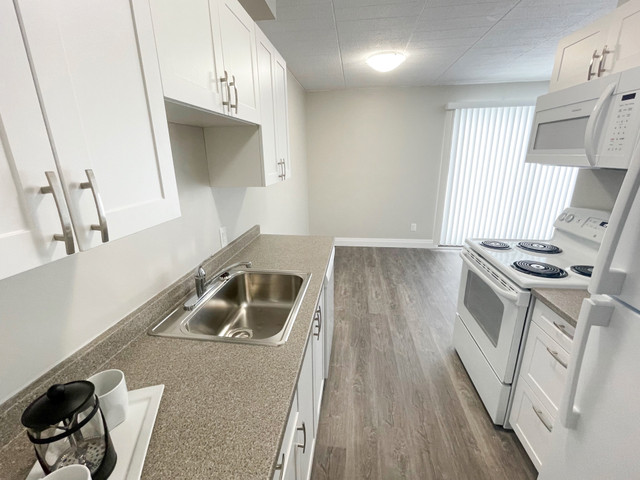 1 Bedroom Apartment in SSM in Long Term Rentals in Sault Ste. Marie - Image 3